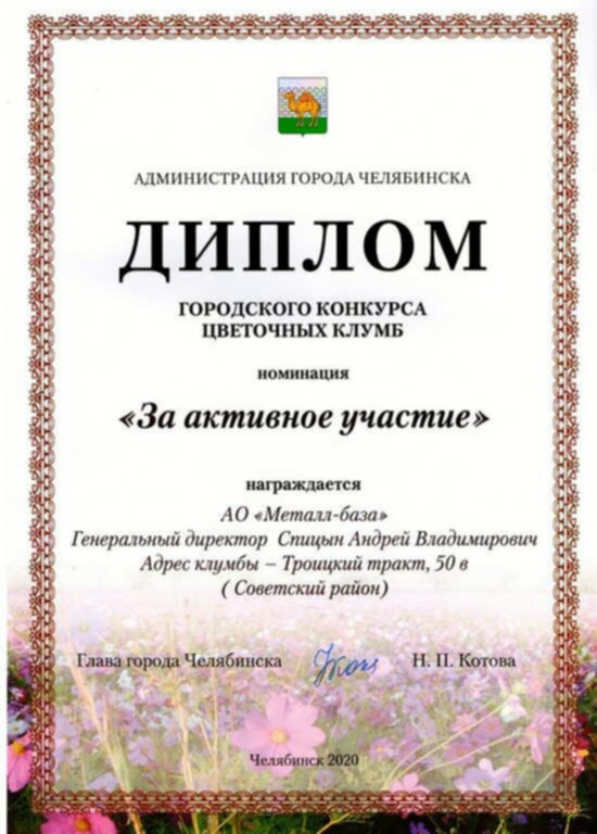 2020 - Администрация г. Челябинск - Глава города Н.П. Котова